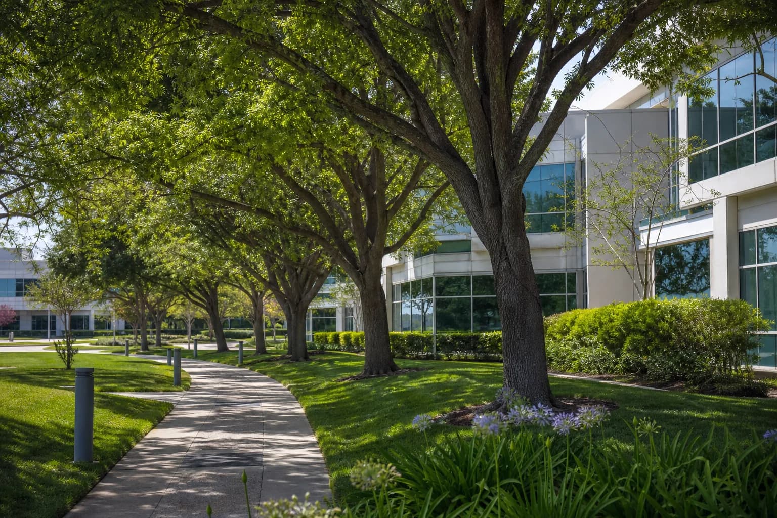 Mature trees on the well-kept grounds of a commercial property with pathways