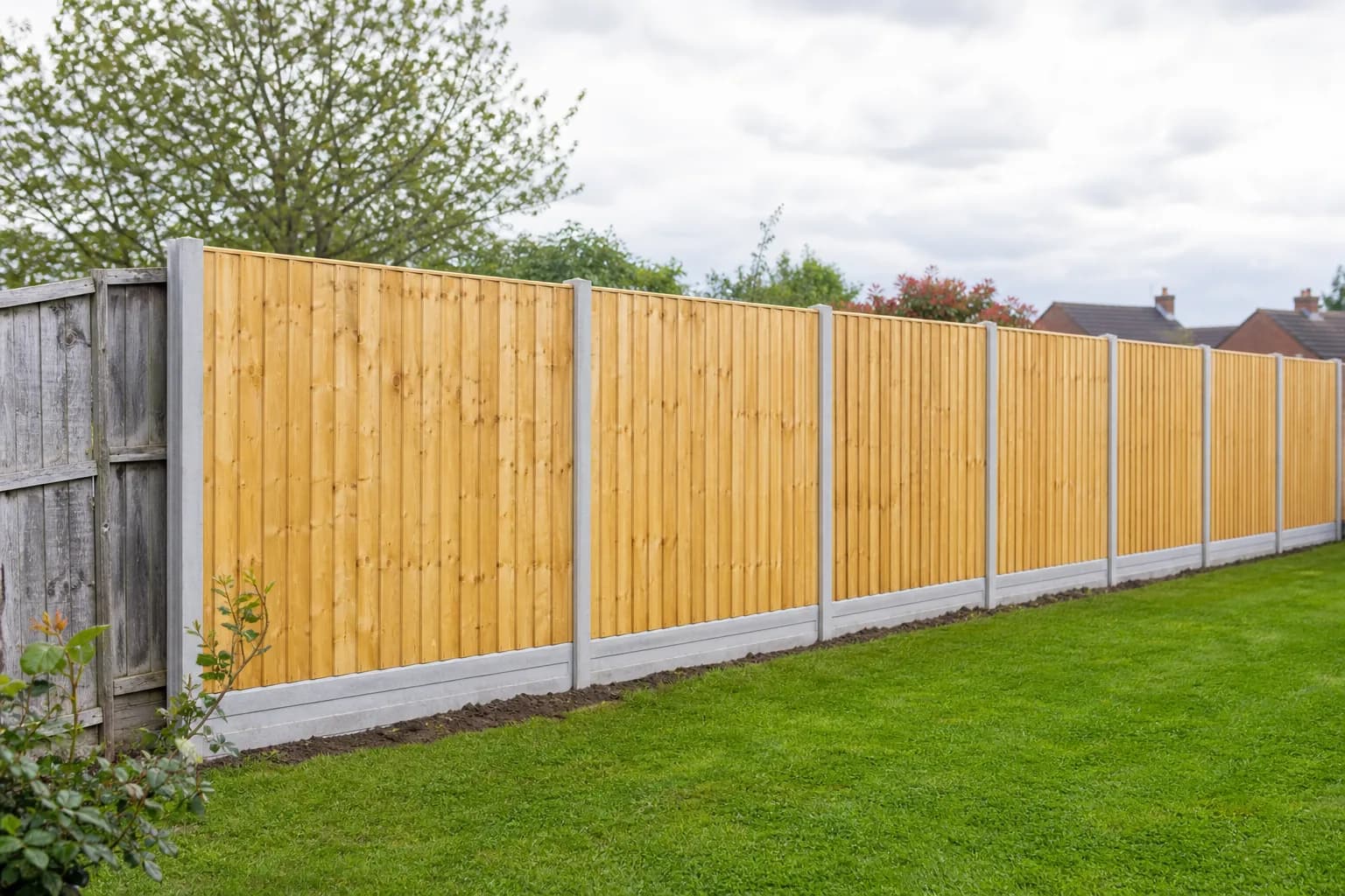 A run of brand new closeboard timber fence panels replacing an old boundary fence in a back garden